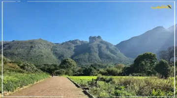 تطور هام.. وزارة السياحة تكشف عن قرار يعيد رسم خريطة السفر أمام السعوديين ما التفاصيل الجديدة؟ 1